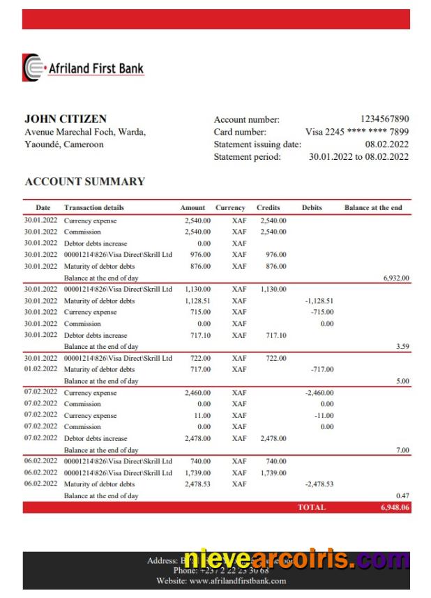 Cameroon Afriland First bank statement